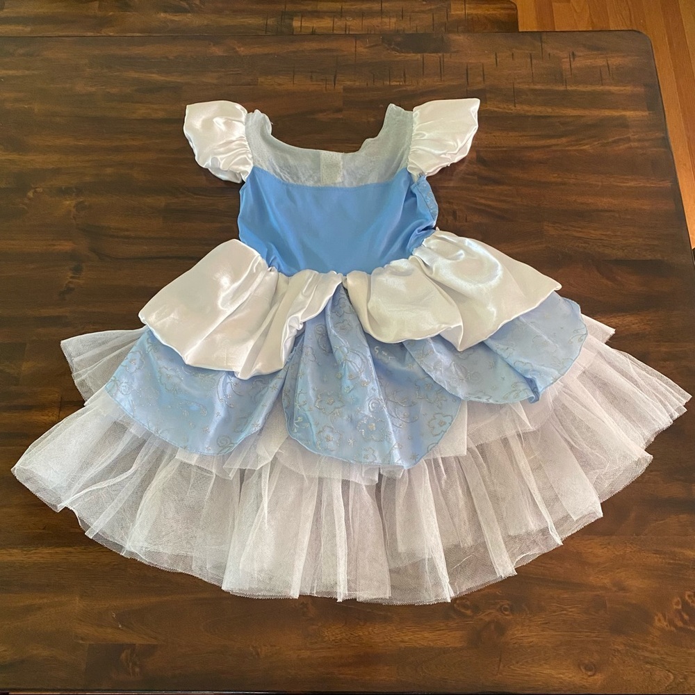 Disney Cinderella Costume - Picture 6 of 10